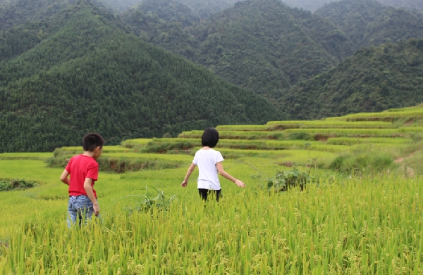 连州市 黑山 村梯田游记,出走地名网