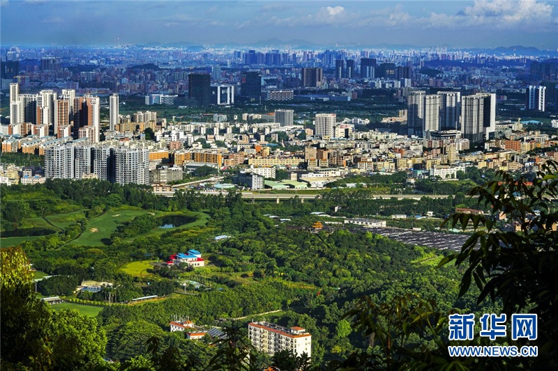 深圳光明新区:抓重大项目落地 促产业转型升级