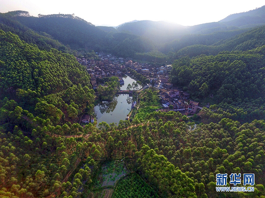 广东美丽乡村航拍:佛山海拔最高的山村有此遗