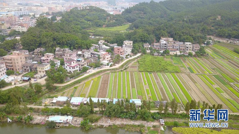 【粤兴粤盛】航拍中山市板芙镇鲤溪村 感受革命老区的