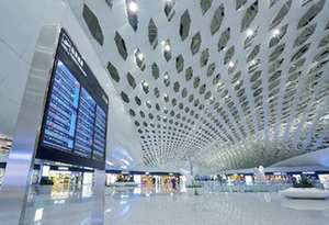深圳机场:临时乘机证明可通过手机快速办理
